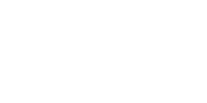 TOTE-N-STOR